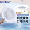 NEWDAYS brand cross-border new E27 universal lamp head scented fan lamp, two-color milk white cover, crystal cover, outdoor courtyard energy-saving lighting, remote control dimming, waterproof and dustproof, best-selling fan details Picture